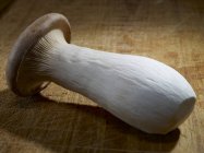 Closeup view of a King Trumpet mushroom on wooden surface — Stock Photo