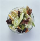 Змішані салат листя — стокове фото