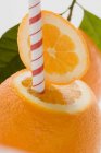 Orangenfrucht mit Stroh — Stockfoto