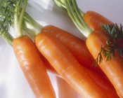 Fresh Carrots with stalks — Stock Photo