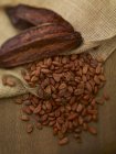 Vainas de cacao y granos de cacao - foto de stock