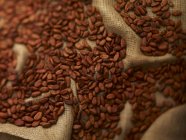 Cocoa beans on jute — Stock Photo