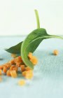 Кубики моркови и свежие листья шпината — стоковое фото