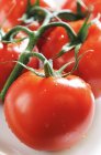 Pomodori rossi freschi maturi — Foto stock
