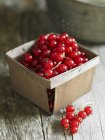 Ribes rosso fresco maturo — Foto stock