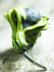 Calabaza verde fresca - foto de stock
