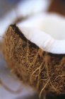 Frisch geöffnete Kokosnuss — Stockfoto