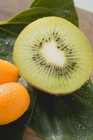 Frutas exóticas bodegón - foto de stock