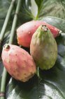 Three prickly pears — Stock Photo