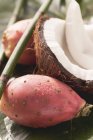 Колючі груші і кокос — стокове фото