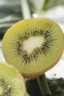 Kiwi fruta em folha verde — Fotografia de Stock