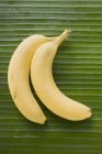 Бананы на зеленом листе — стоковое фото