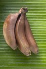 Bündel roter Bananen — Stockfoto