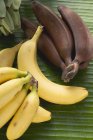 Bunches with fresh bananas — Stock Photo