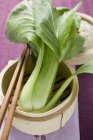 Fresh pak choi in bamboo steamer — Stock Photo