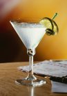 Martini cocktail avec tranches de citron vert — Photo de stock