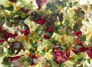 Gemischte Salatblätter mit Rettich und Karotte — Stockfoto