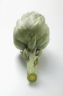 Fresh green artichoke — Stock Photo