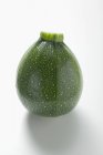 Zucchina rotonda fresca — Foto stock