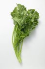 Brócoli fresco rabe - foto de stock