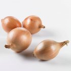 Four onions, close-up — Stock Photo