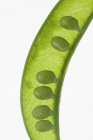 Fresh Young peas in pod — Stock Photo