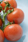 Tomates de videira com baixas de água — Fotografia de Stock