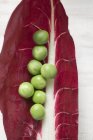 Ervilhas frescas na folha de radicchio — Fotografia de Stock