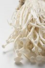 Enokitake гриби, крупним планом — стокове фото