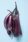 Fresh purple aubergines — Stock Photo