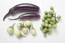 Fresh picked aubergines — Stock Photo