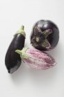 Fresh ripe aubergines — Stock Photo