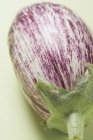 Violett und weiß gestreifte Aubergine — Stockfoto