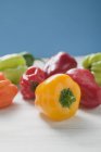Mixed peppers and chillies — Stock Photo