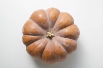 Fresh homegrown pumpkin — Stock Photo