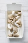 Funghi King Oyster — Foto stock