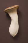 King oyster mushroom — Stock Photo