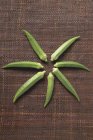 Cosses okra disposées en forme d'étoile — Photo de stock