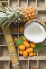 Pineapple and coconut with kumquats — Stock Photo