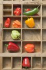 Various peppers and chillies — Stock Photo