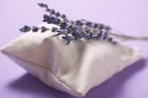 Lavender bag and lavender flowers — Stock Photo