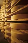 Cheeses in maturing cellar — Stock Photo