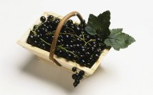 Grosellas negras maduras frescas - foto de stock