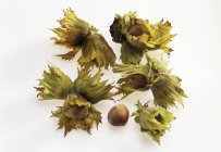 Several green hazelnuts — Stock Photo