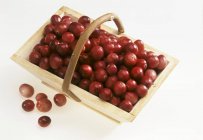 Cranberries em cesta de madeira — Fotografia de Stock