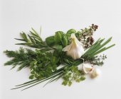 Различные кулинарные травы и чеснок — стоковое фото