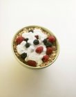 Мюсли с йогуртом и ягодами — стоковое фото