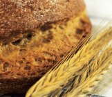 Цельнозерновой рулон и пшеница — стоковое фото