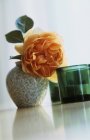 Closeup tilted view of orange rose in vase near green tealights — Stock Photo