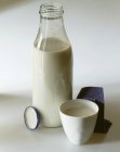 Milk in bottle and cup — Stock Photo